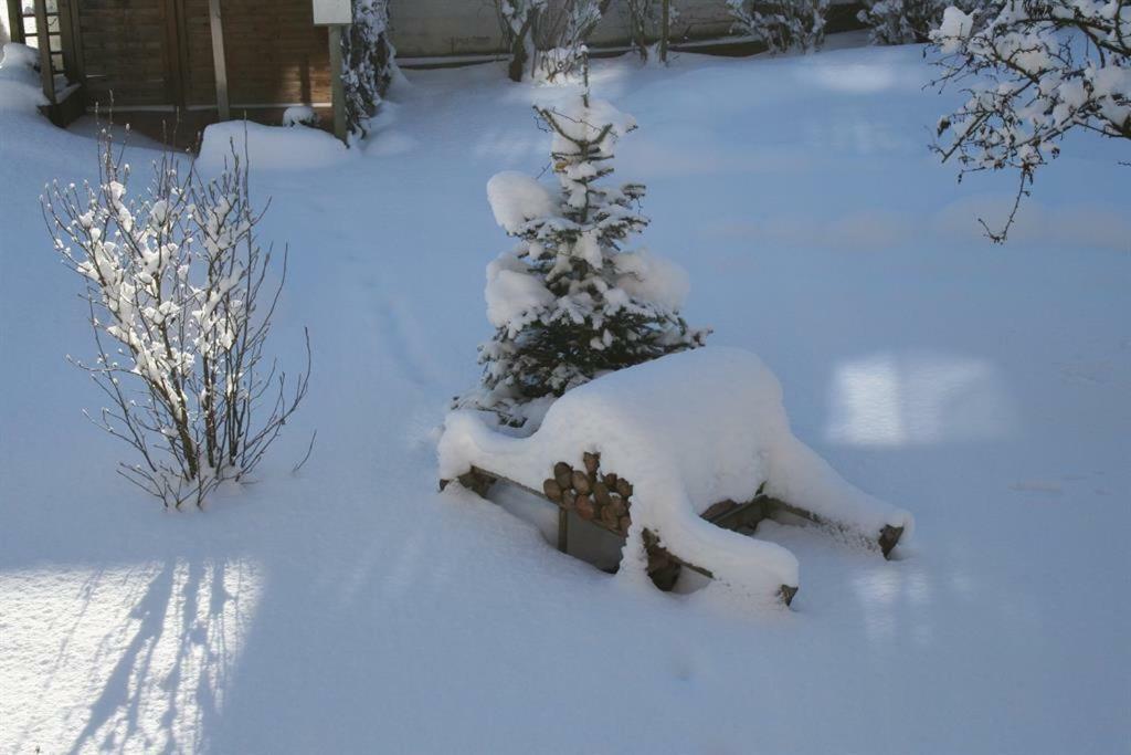 Schweinberger Sixtus Apartment Aschau Im Zillertal Ngoại thất bức ảnh